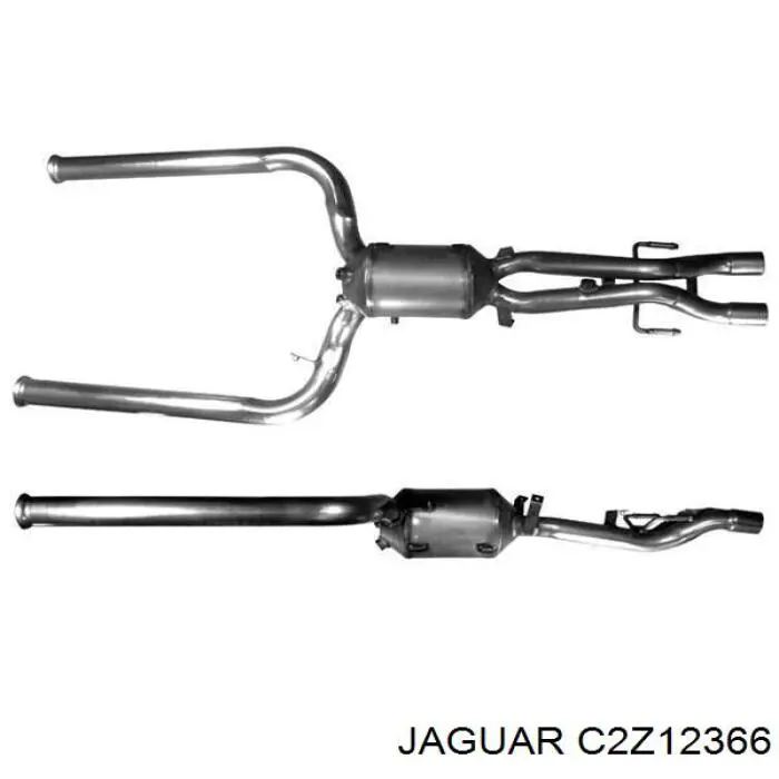 C2Z12366 Jaguar