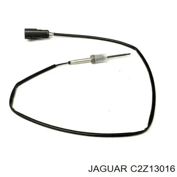  C2Z13016 Jaguar