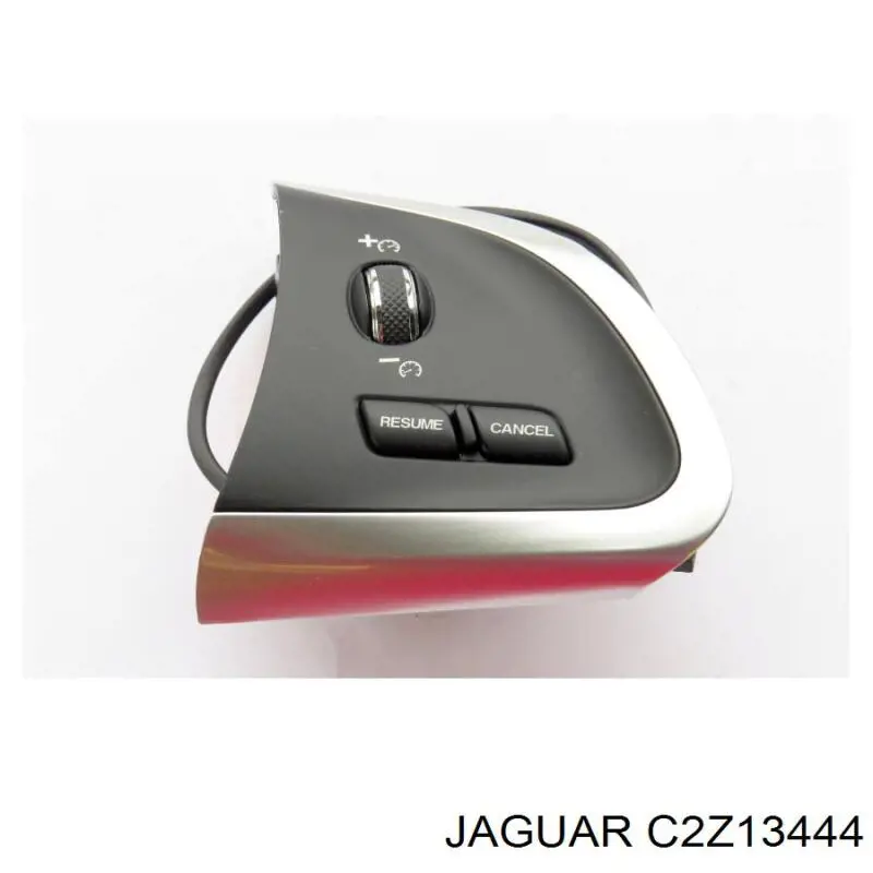 C2Z13444 Jaguar