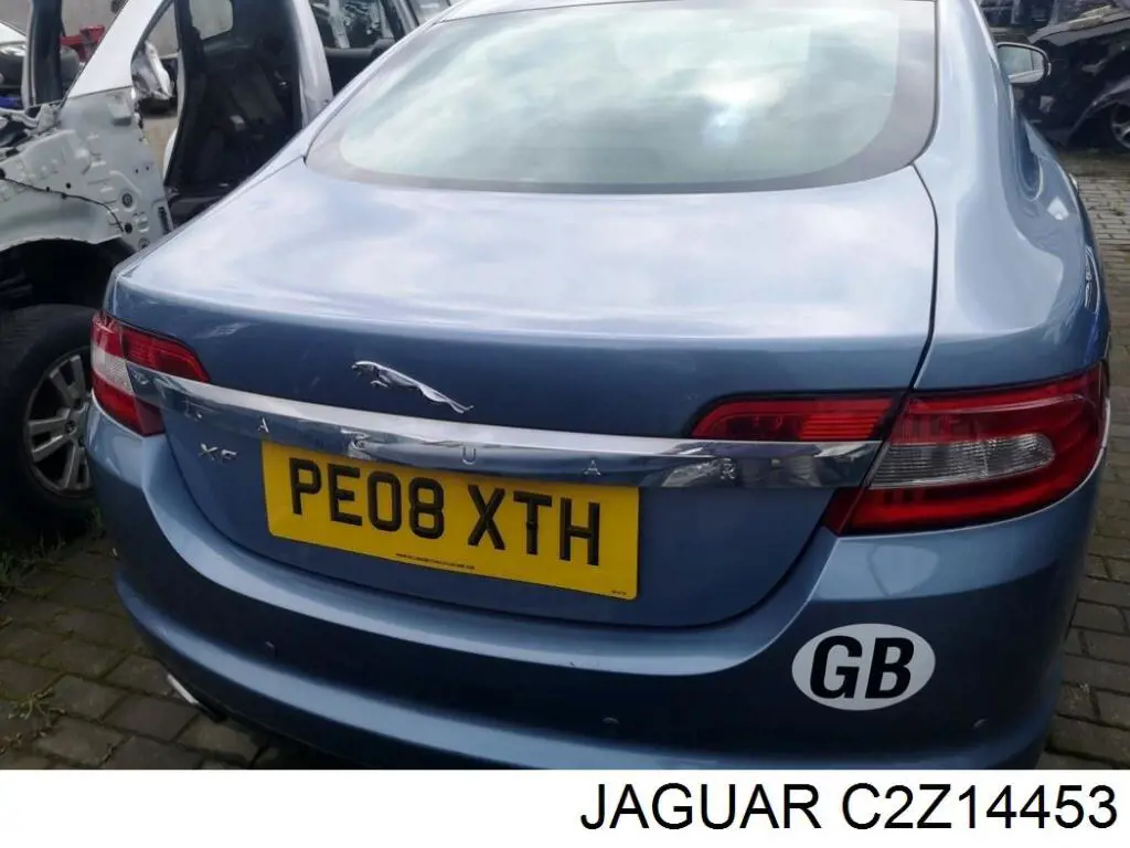 C2Z14453 Jaguar 