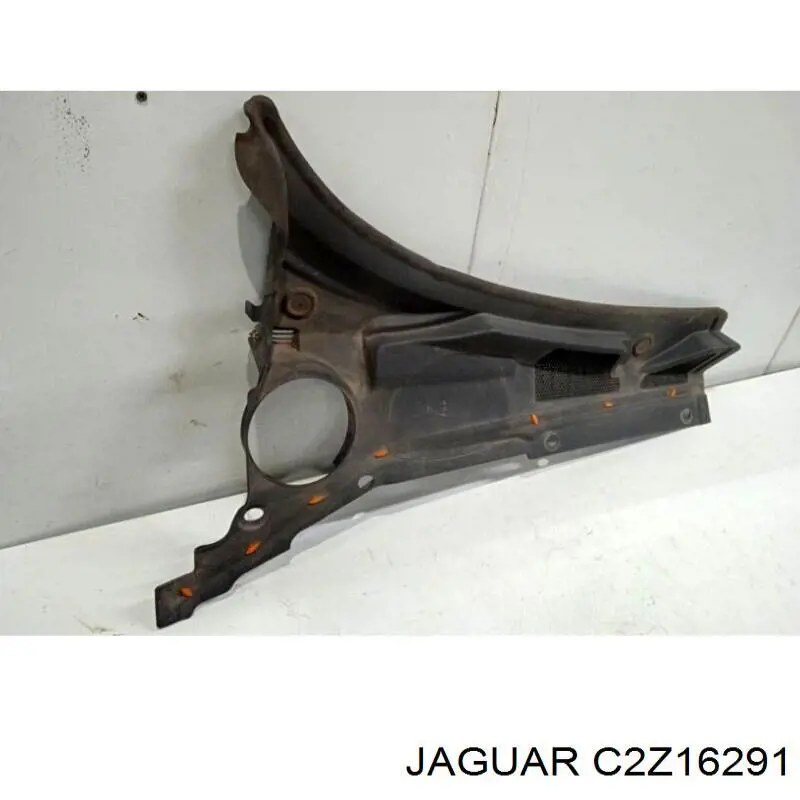 C2Z16291 Jaguar 