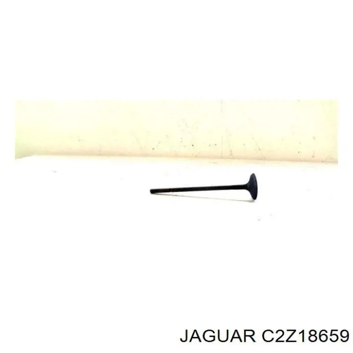  C2Z18659 Jaguar