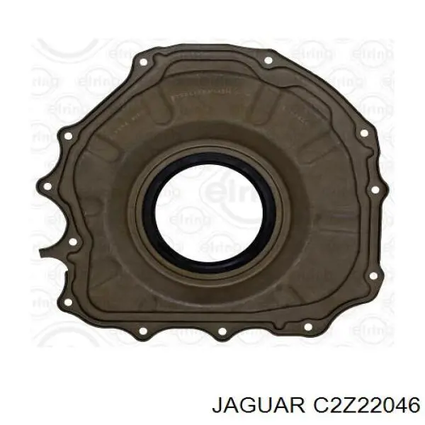 C2Z27888 Jaguar 