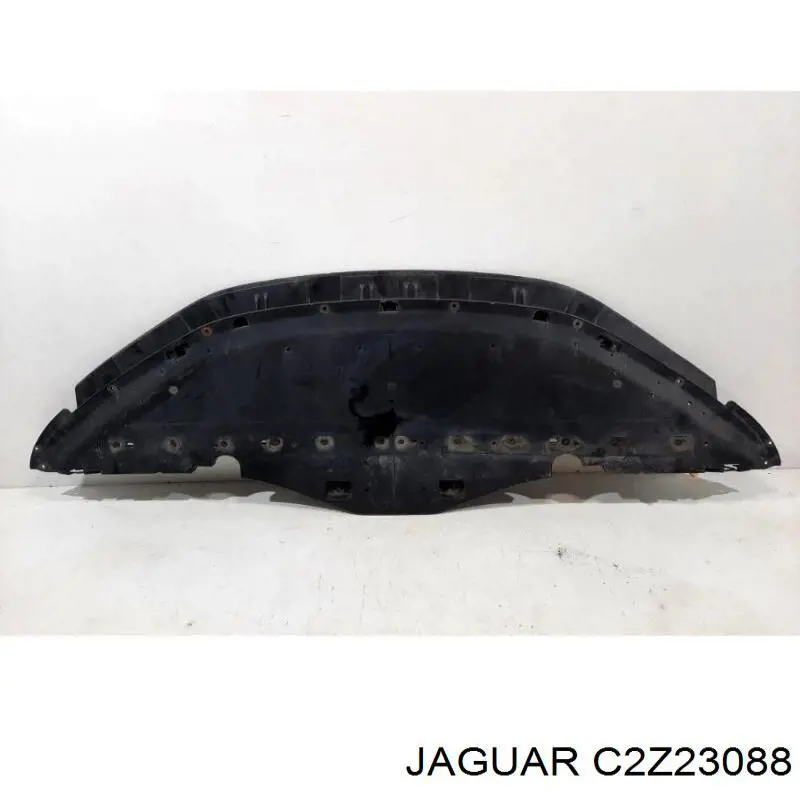 C2Z23088 Jaguar 