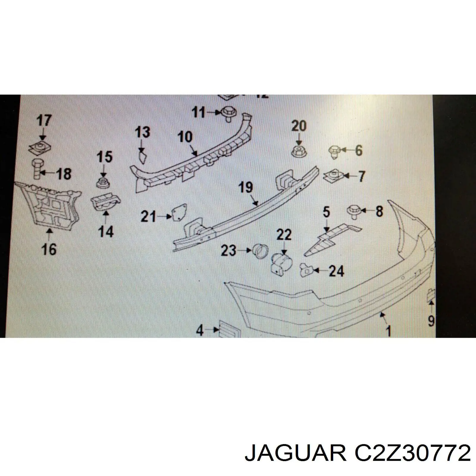 C2Z30772 Jaguar 