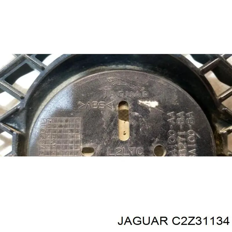 C2Z31134 Jaguar 