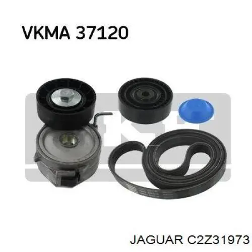 Паразитный ролик приводного ремня Jaguar C2Z31973 цена, от 21.97 USD