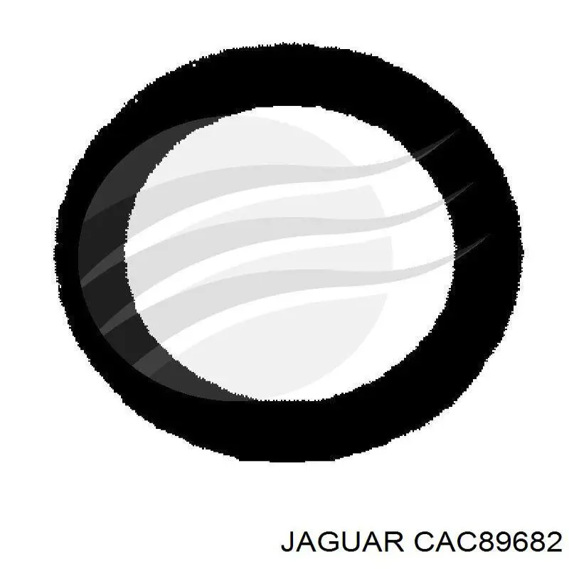 CAC89682 Jaguar