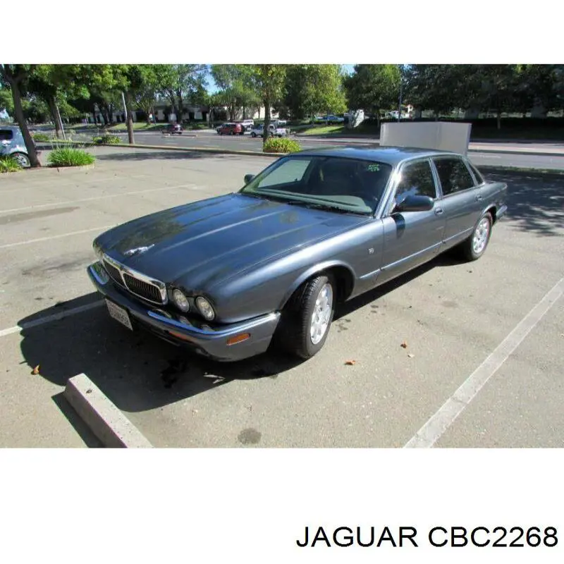  CBC2268 Jaguar