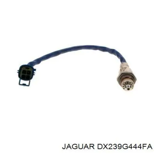 DX239G444FA Jaguar 