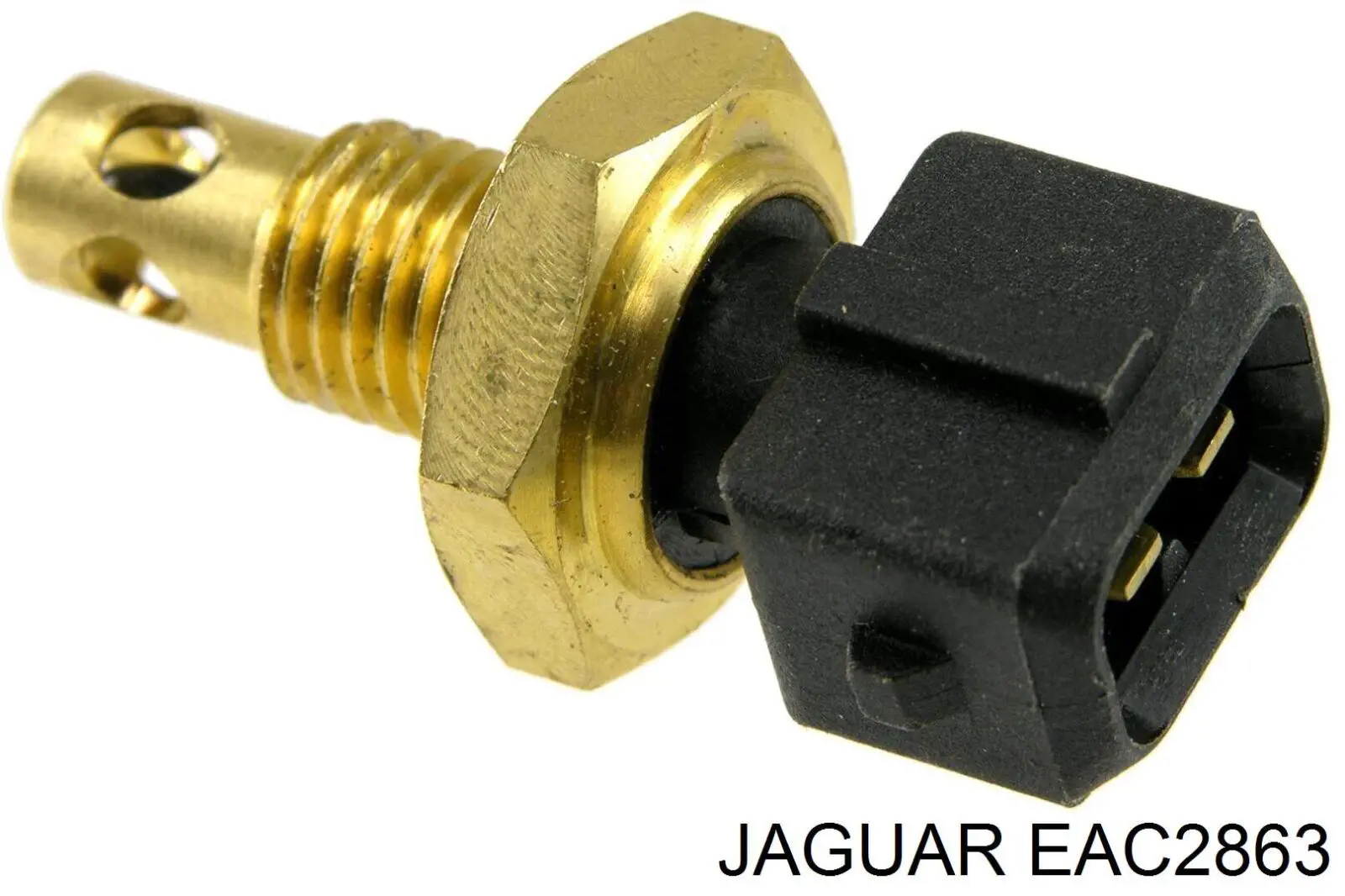 EAC2863 Jaguar 