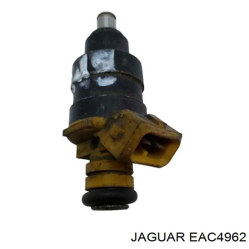  EAC4962 Jaguar