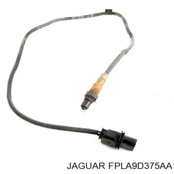 J9C22983 Jaguar 