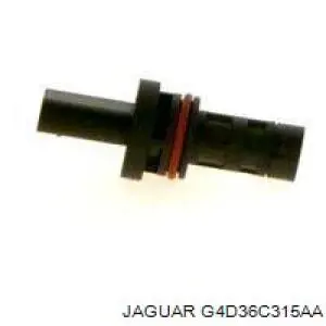  G4D36C315AA Jaguar