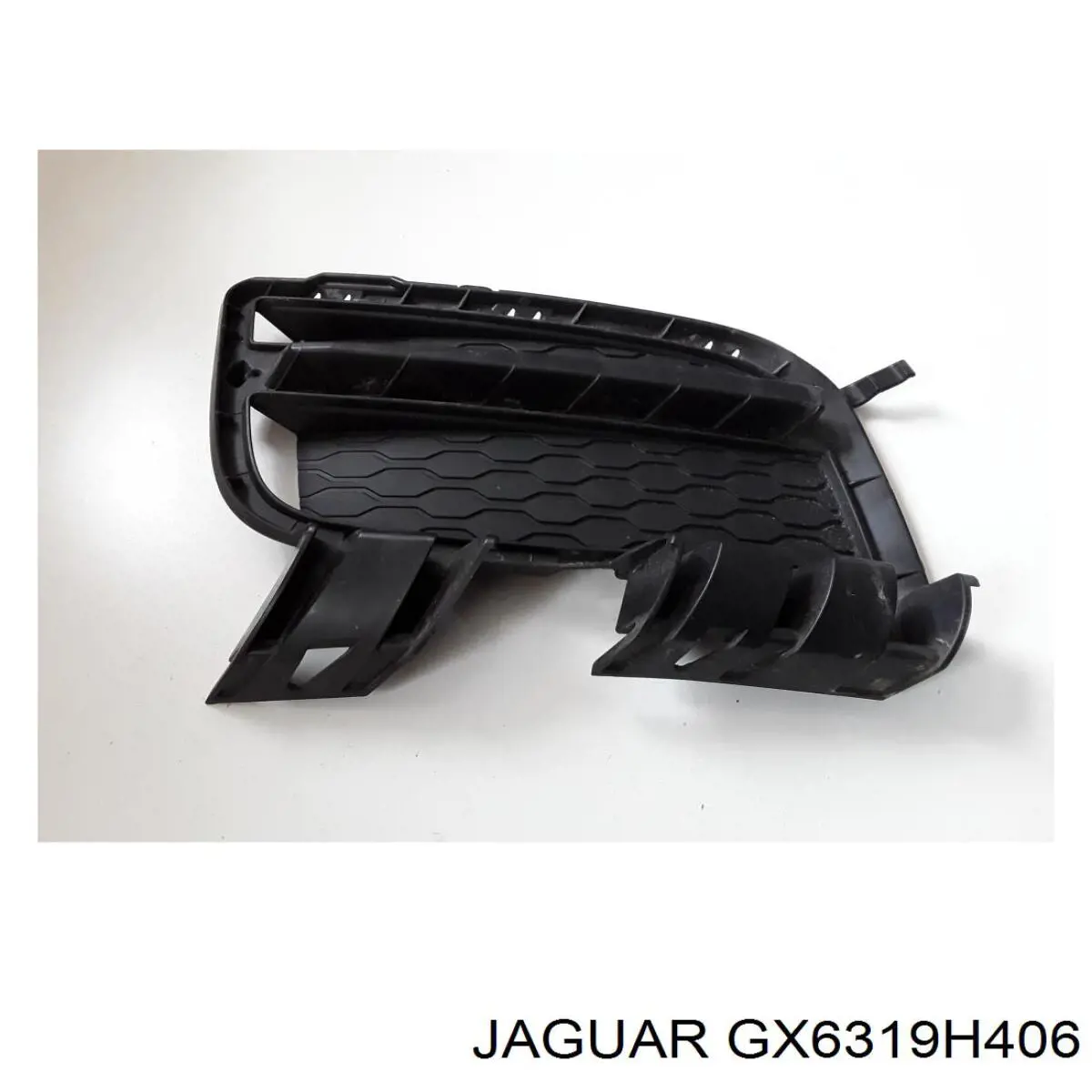  GX6319H406 Jaguar