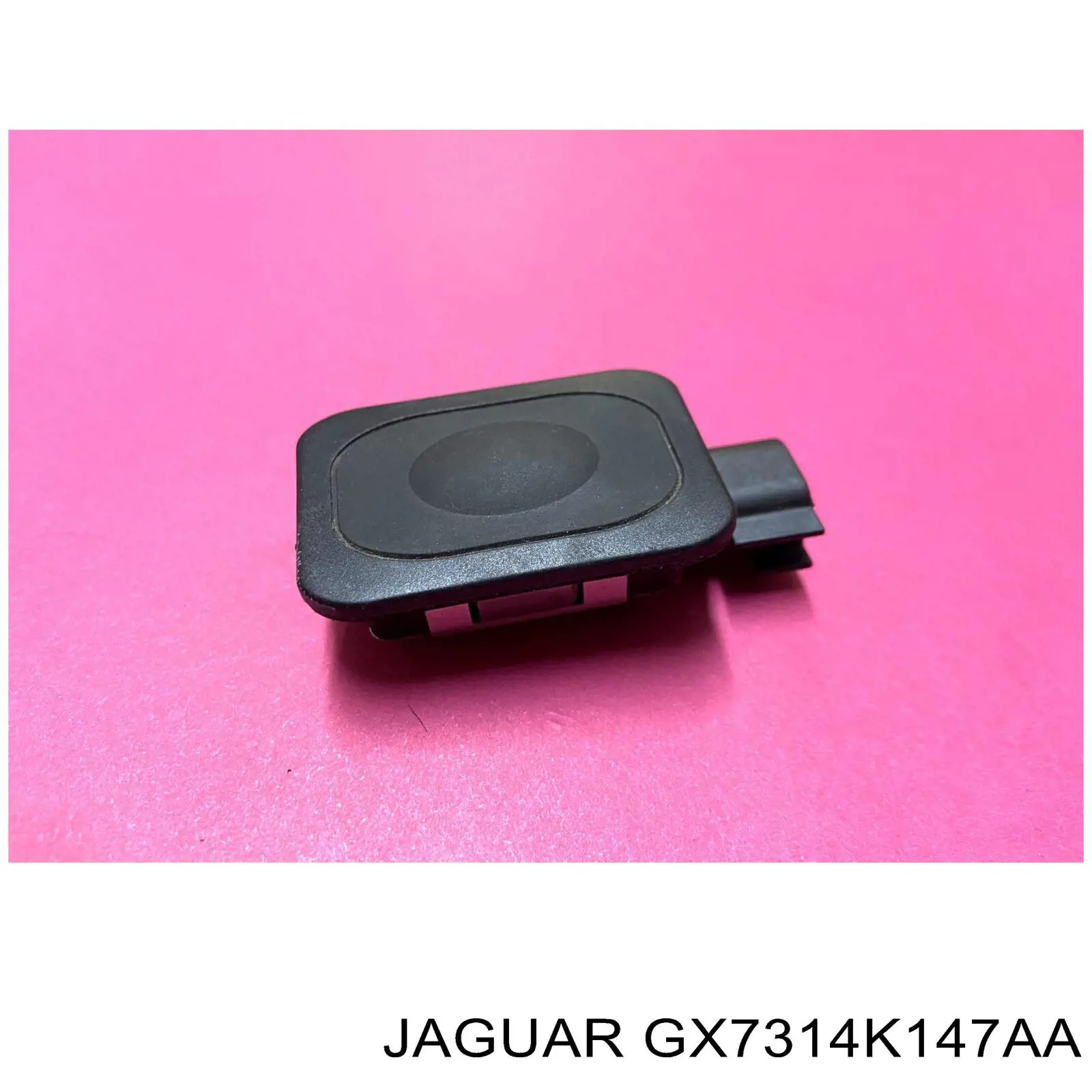  GX7314K147AA Jaguar