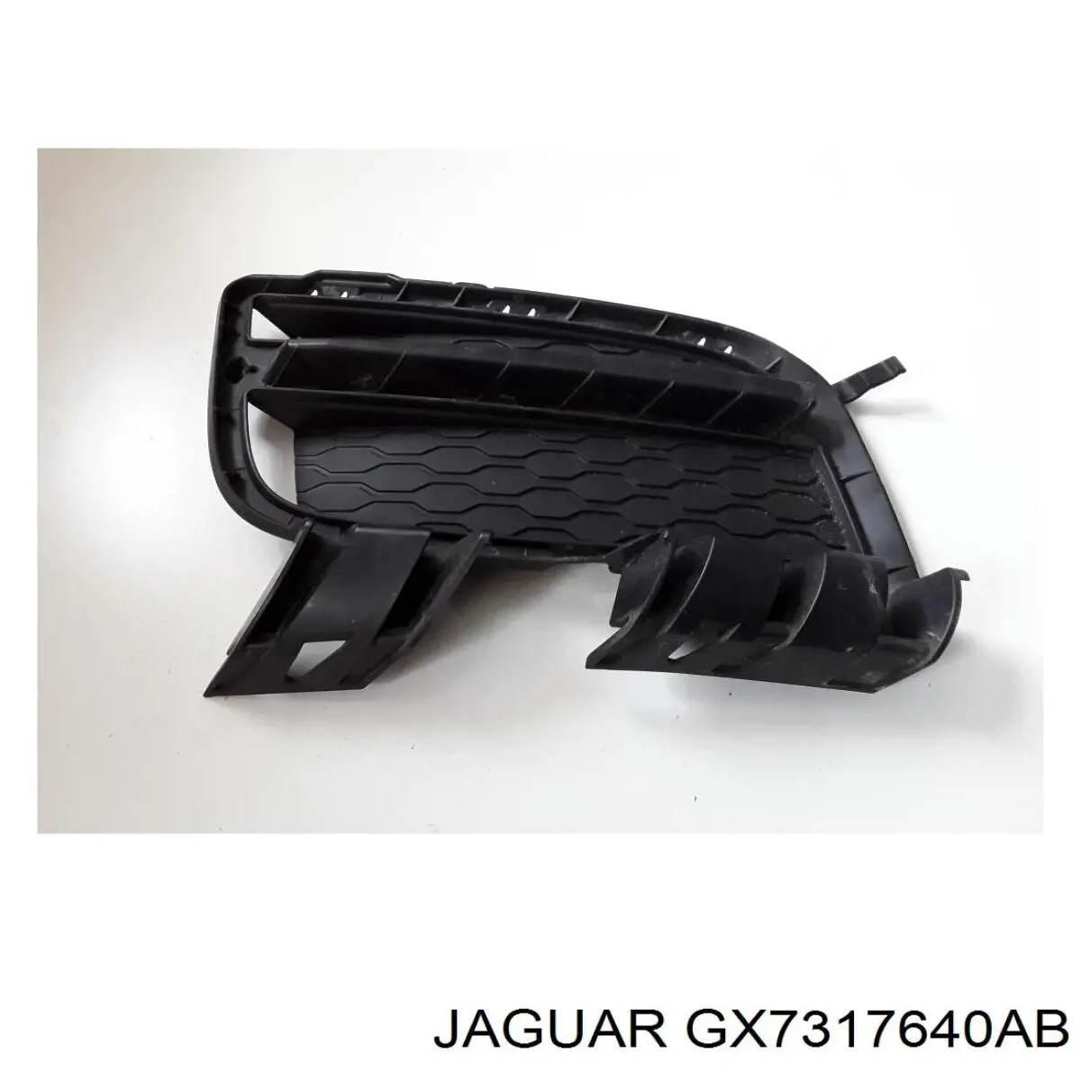 GX7317640AB Jaguar 
