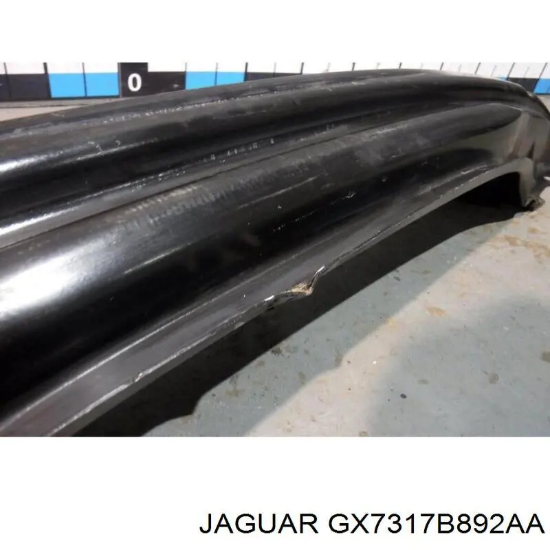 GX7317B892AA Jaguar 