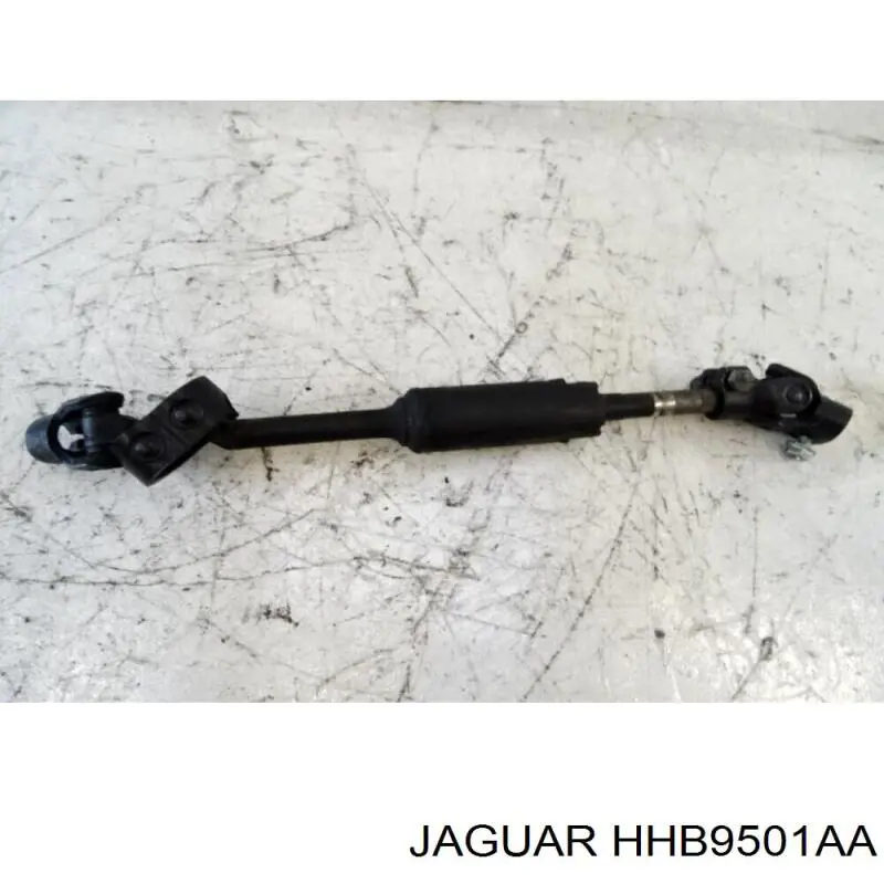  HHB9501AA Jaguar