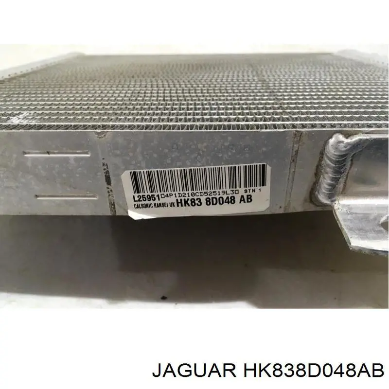 HK838D048AB Jaguar 