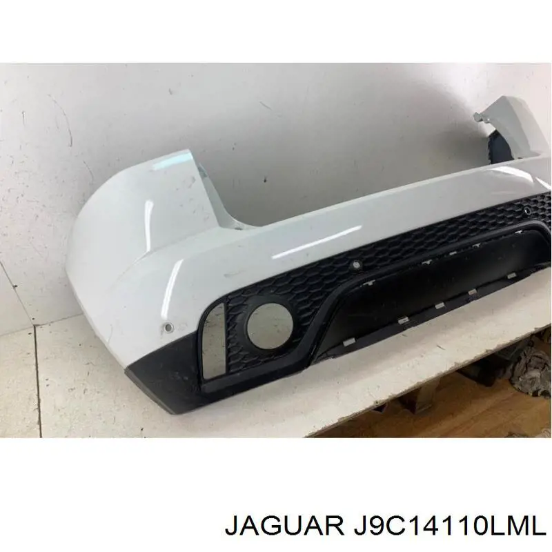  J9C14110LML Jaguar