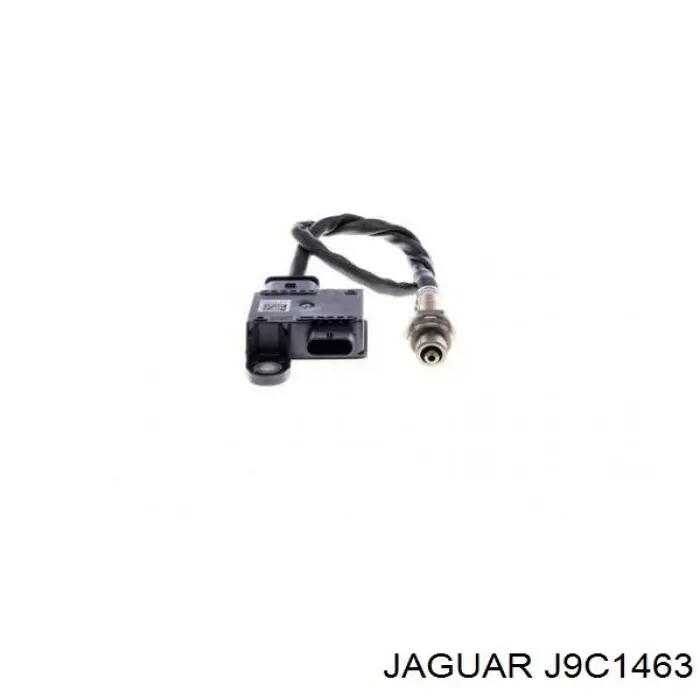 J9C1463 Jaguar 