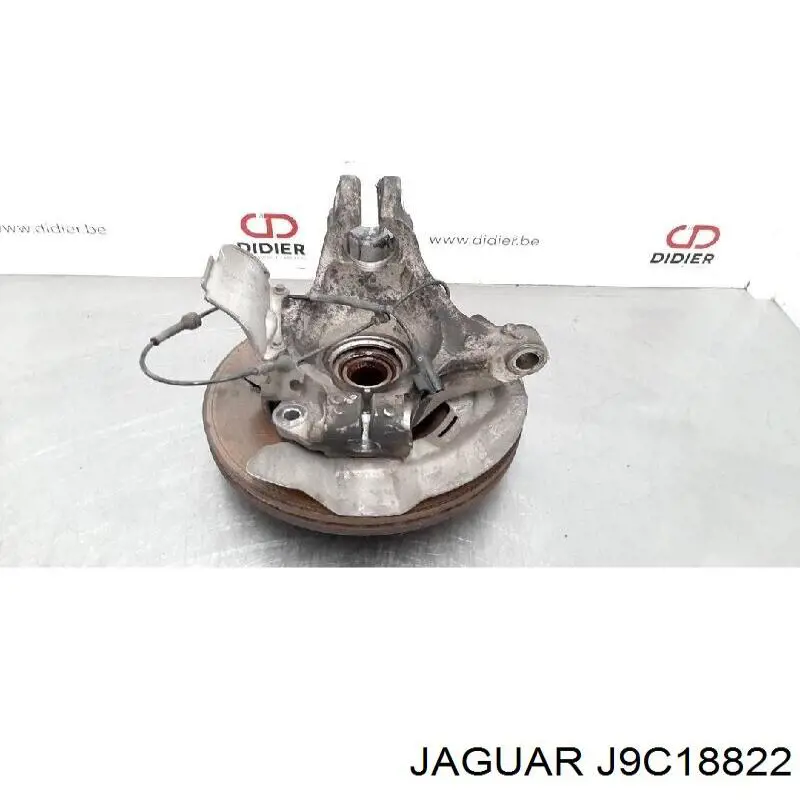 J9C3165 Jaguar 