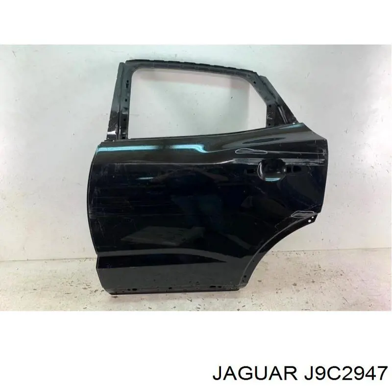  J9C2947 Jaguar