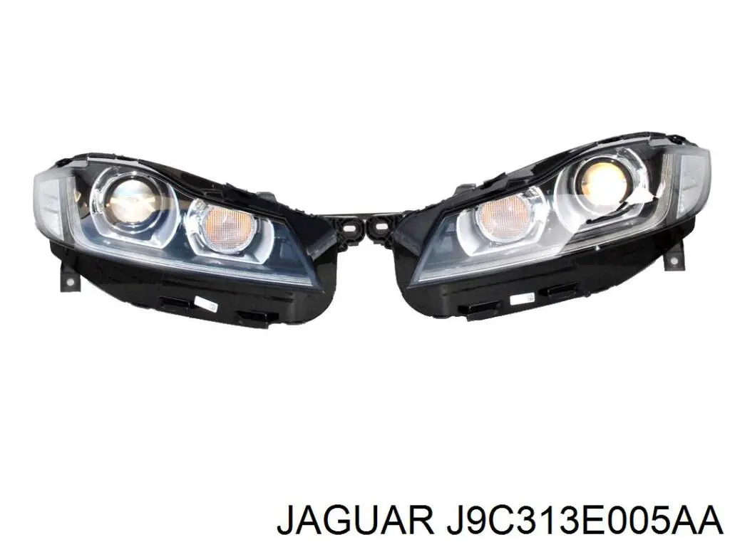 J9C313E005AA Jaguar 