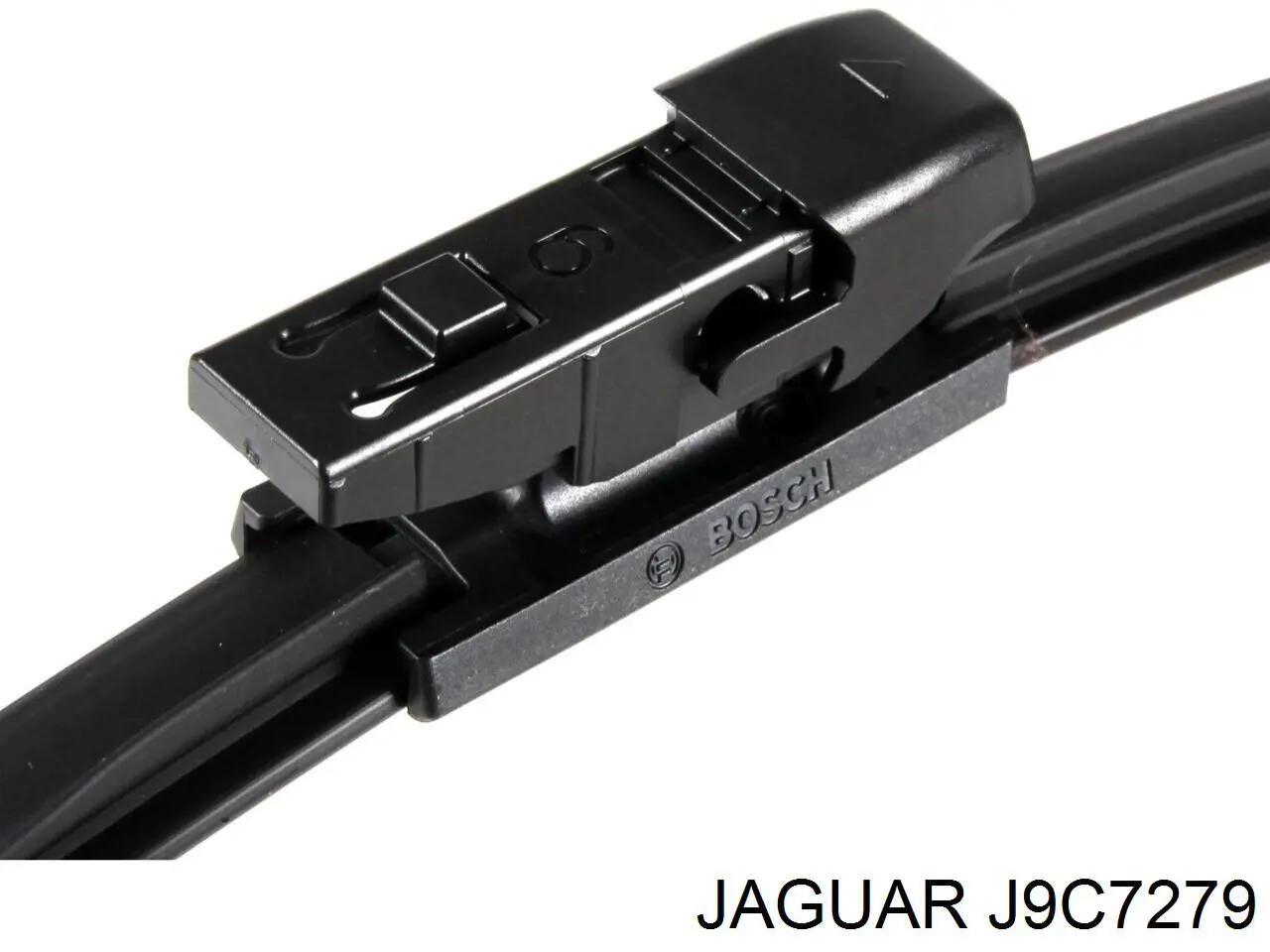 J9C7279 Jaguar 