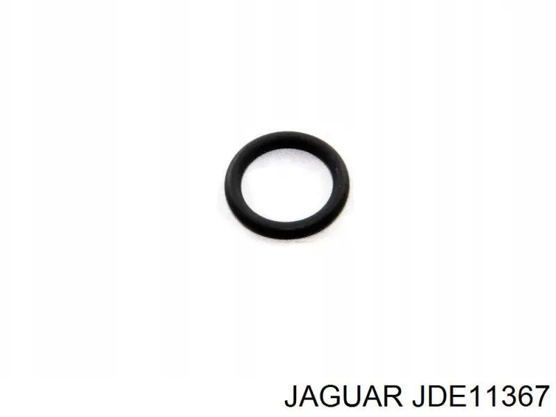 JDE11367 Jaguar 