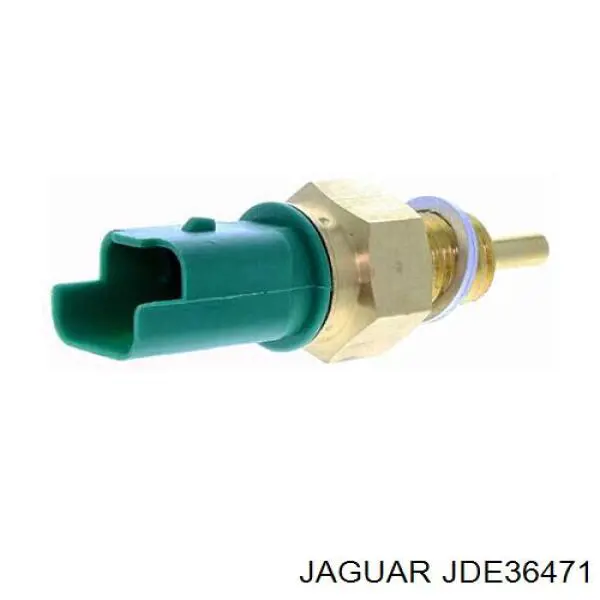  JDE36471 Jaguar