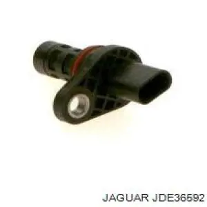 JDE36592 Jaguar 