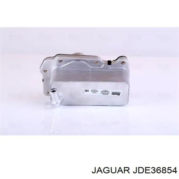  JDE36854 Jaguar