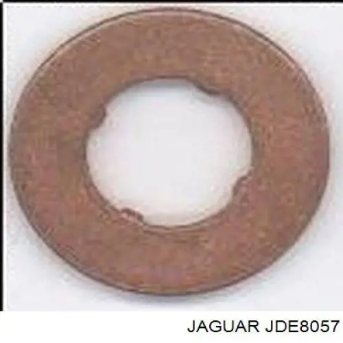 JDE8057 Jaguar