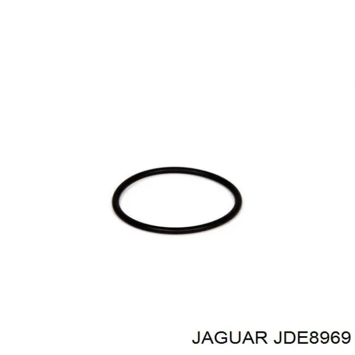 JDE8969 Jaguar 