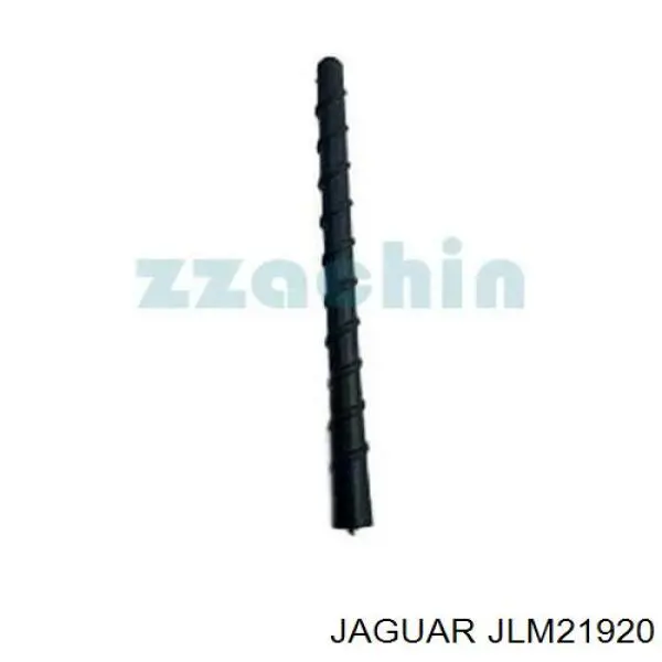  JLM21920 Jaguar