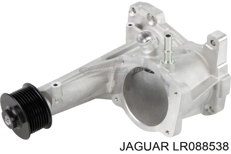  LR088538 Jaguar