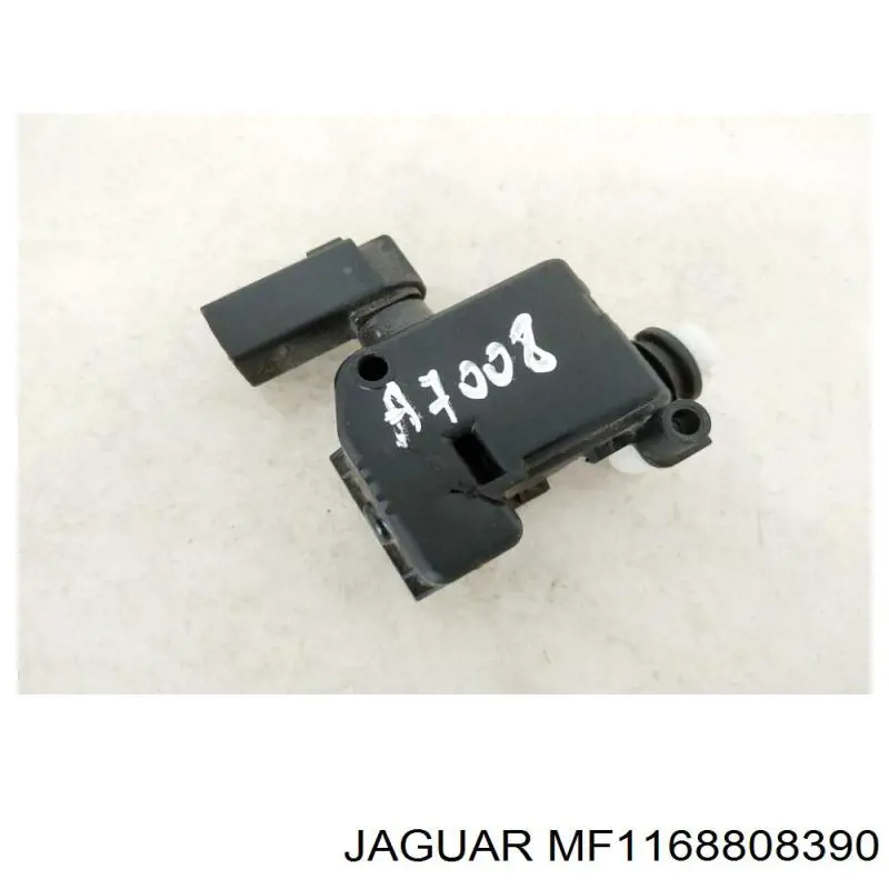 MF1168808390 Jaguar 