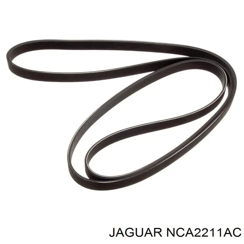  NCA2211AC Jaguar