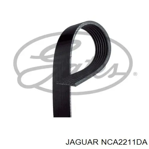 NCA2211DA Jaguar Поликлиновый ремень