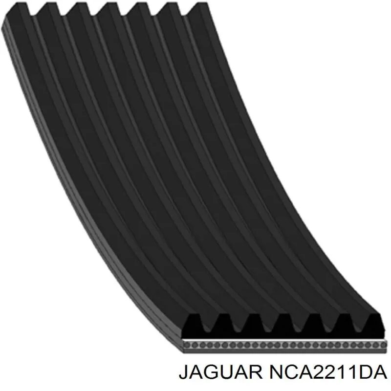 NCA2211DA Jaguar ремень генератора
