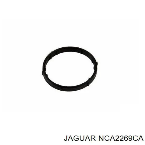  Jaguar NCA2269CA цена, от 3.67 USD