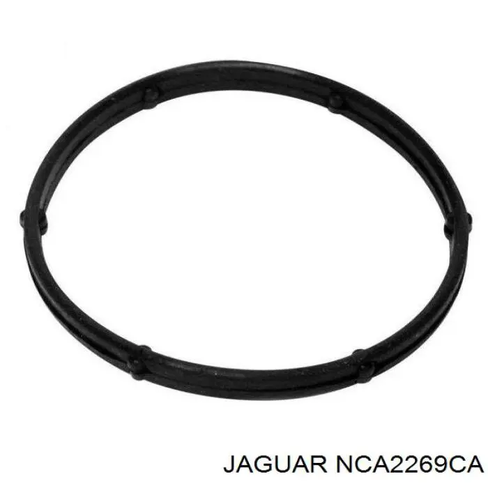 NCA2269CA Jaguar 