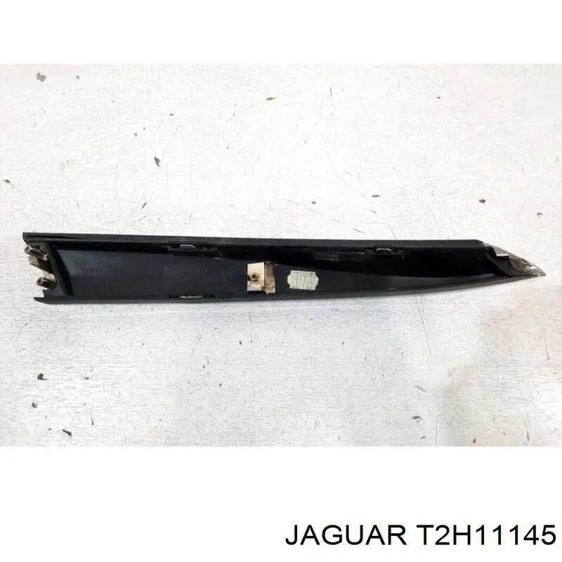  T2H11145 Jaguar