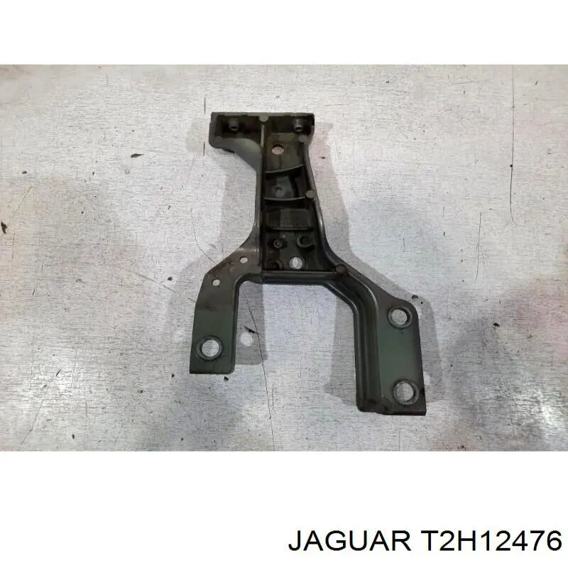  T2H49550 Jaguar