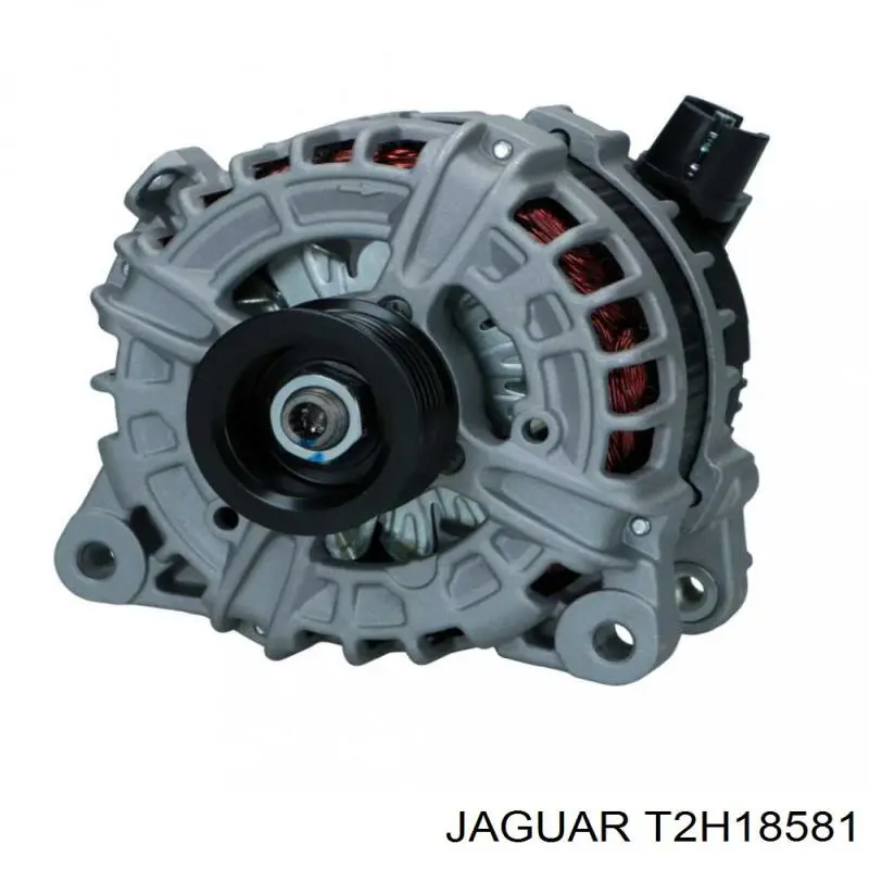02T2H18582 Jaguar генератор