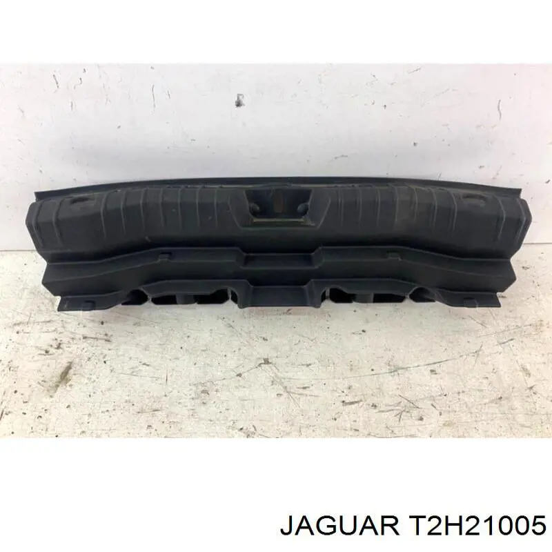  T2H43848 Jaguar