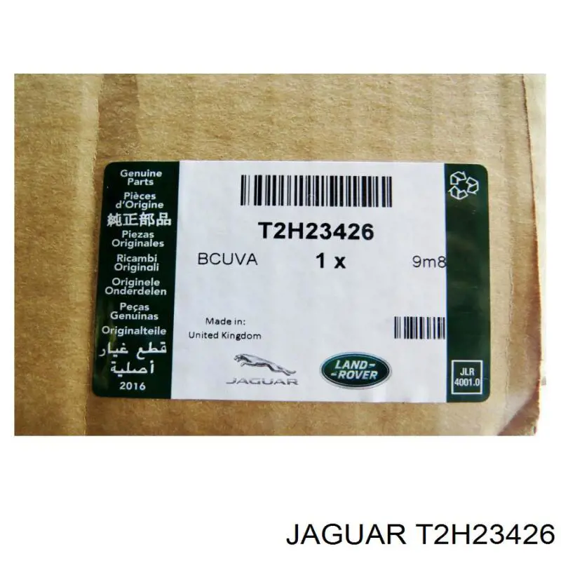  T2H3062 Jaguar