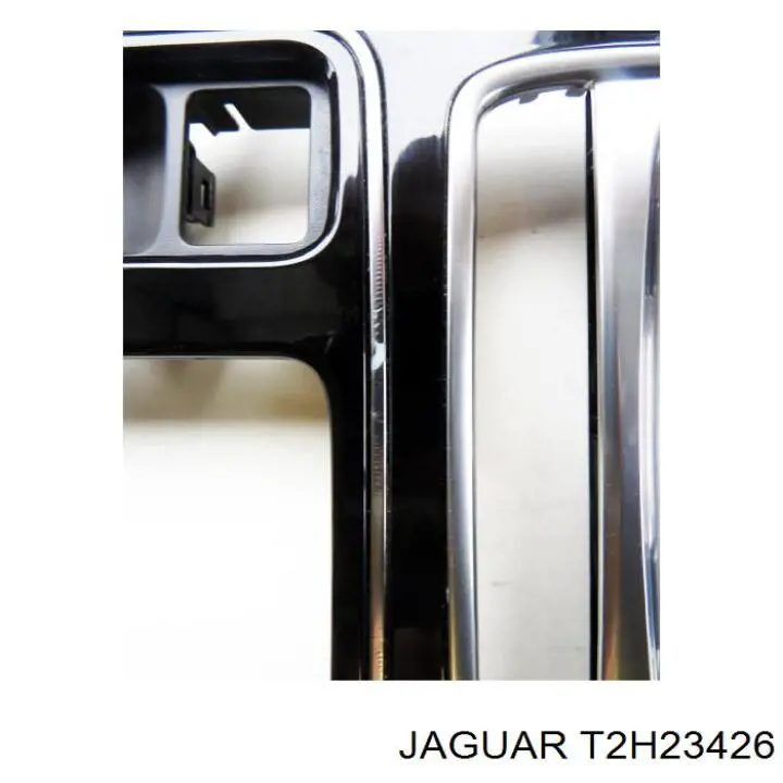 T2H23426 Jaguar 